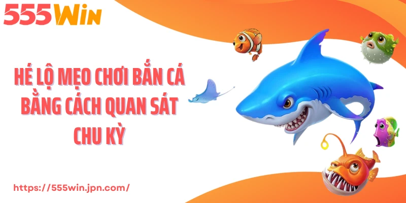 Hé lộ mẹo chơi bắn cá bằng cách quan sát chu kỳ