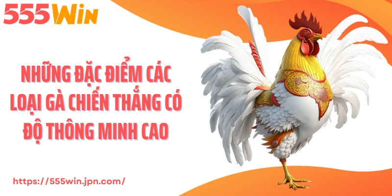 Những đặc điểm các loại gà chiến thắng có độ thông minh cao